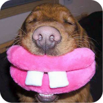 fathi855's Avatar