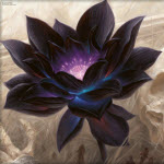 xoilo2004's Avatar