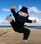 roladoculi's Avatar