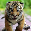 George8's Avatar
