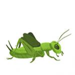 Chrychekow's Avatar