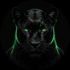 stillscamlikely's Avatar